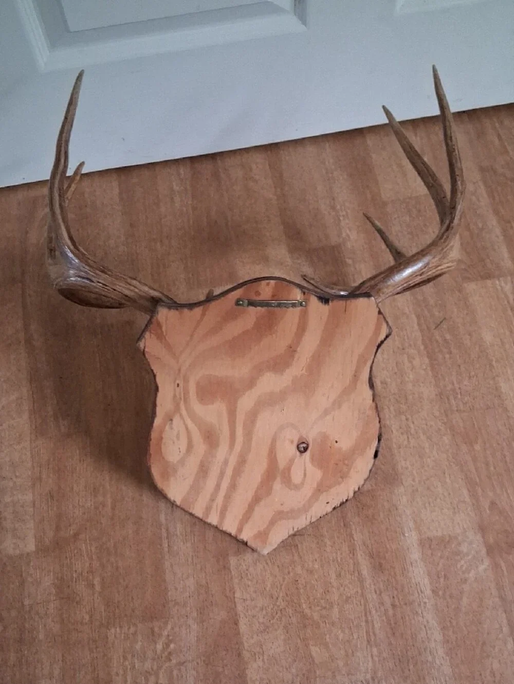 Vintage Antler Wall Plaque in Brown and Tan Cabin Decor